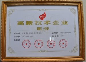 高新技术企业