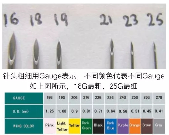 16号针头直径图片