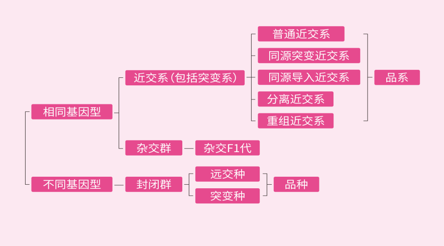 全名叫起来啰嗦，这就是你们叫我小黑的理由？