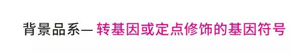 基因编辑小鼠的名字一长串，究竟是啥意思？