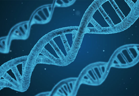 crispr