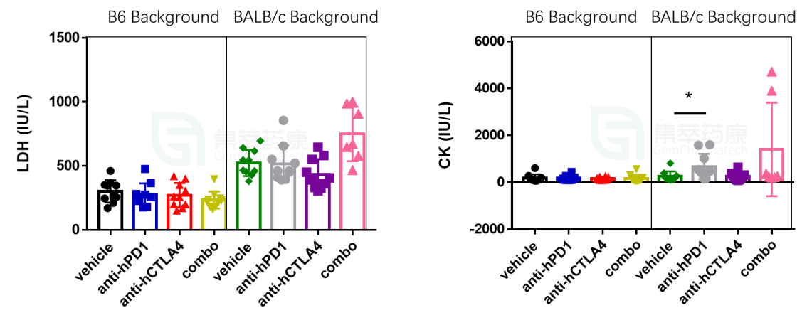 10.png
