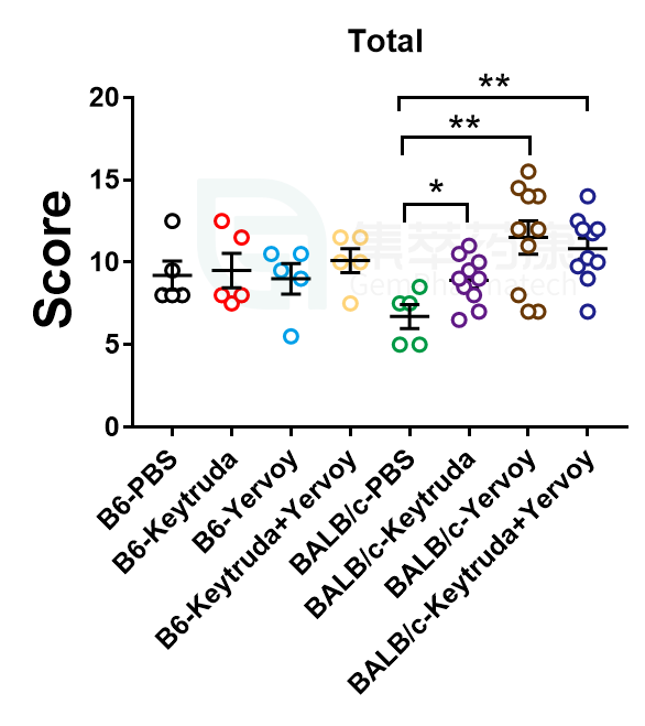 11.png