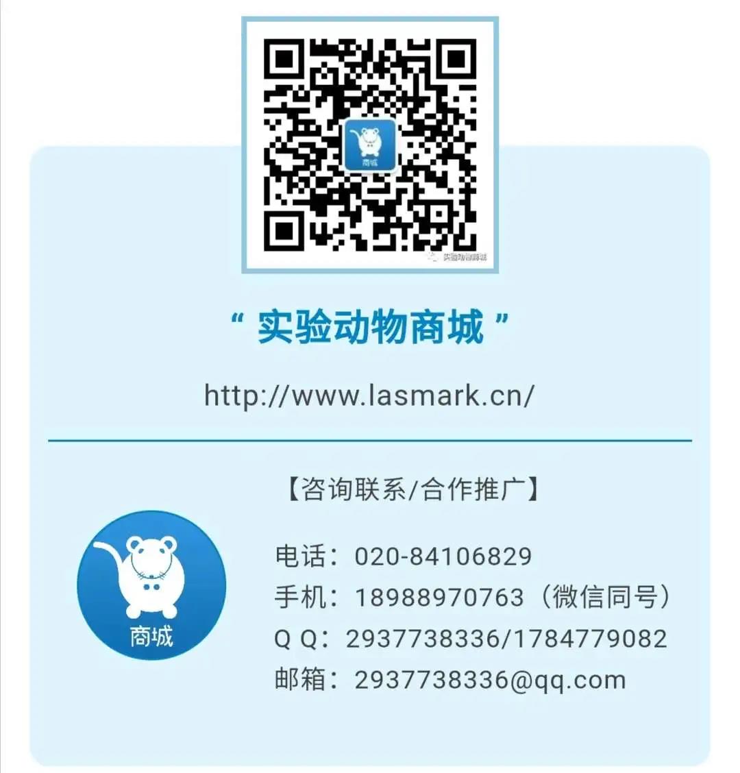 lasmark微信.jpg