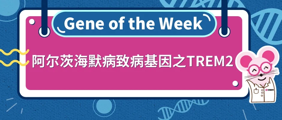 封面webp2.jpg