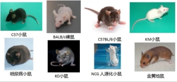 微信图片_20201021143408.jpg