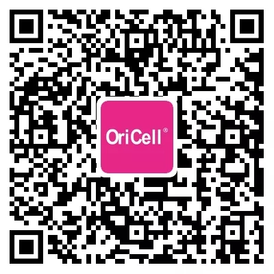 试用二维码webp.jpg