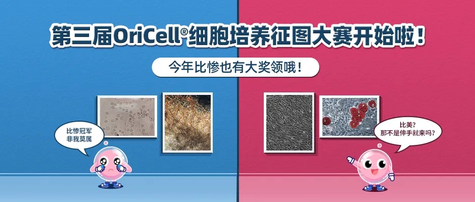 图片webp.jpg