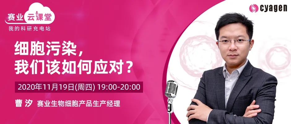 封面webp4.jpg