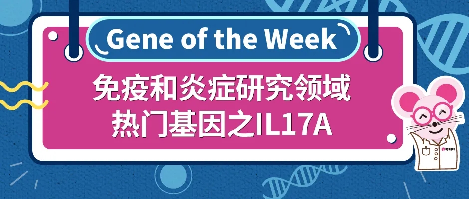 封面webp5.jpg