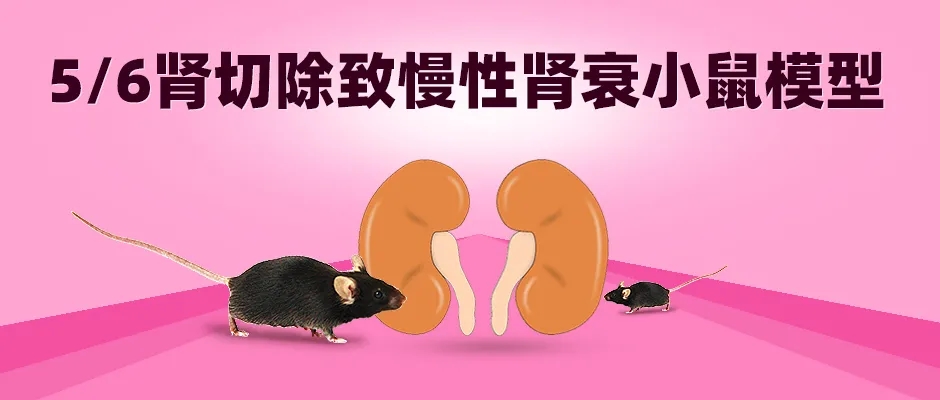 封面webp6.jpg
