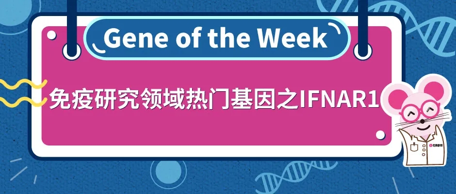 封面webp8.jpg