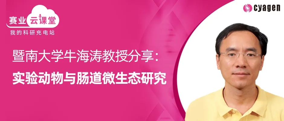 0封面webp.jpg