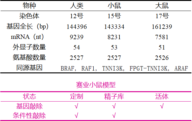 图02.png