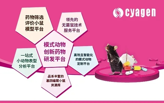 图1webp2.jpg