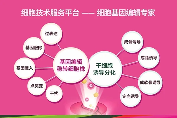 图2webp2.jpg