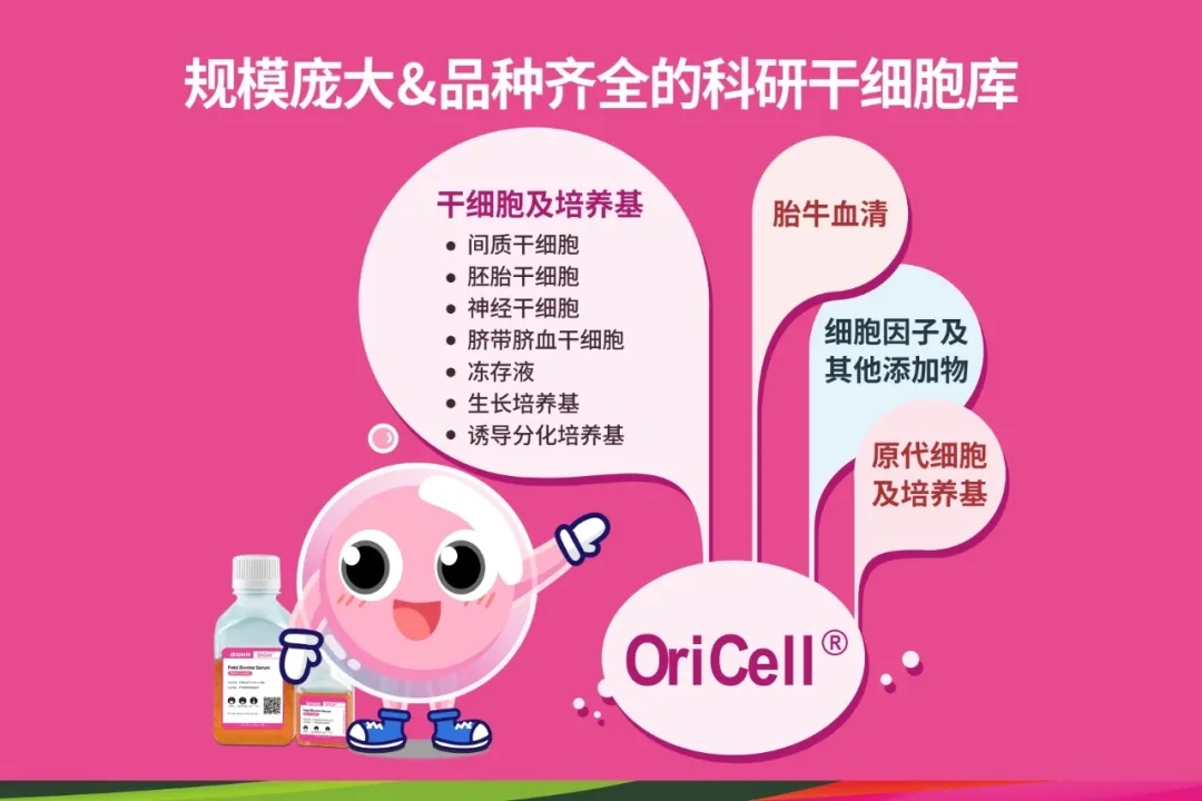 图3webp2.jpg
