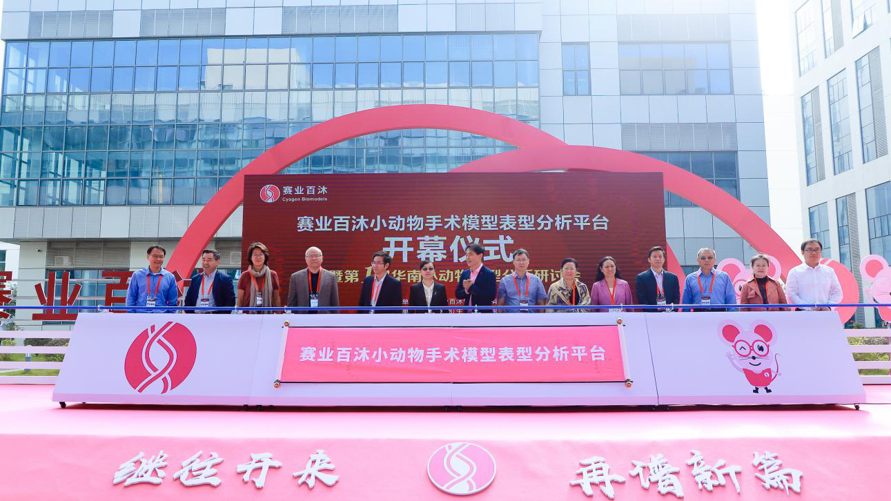 图4.png