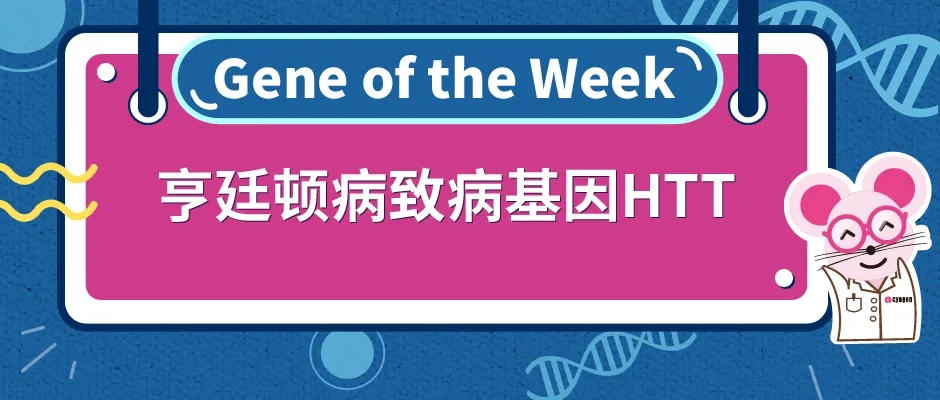 封面webp7.jpg