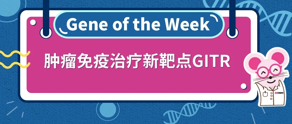 封面webp8.jpg