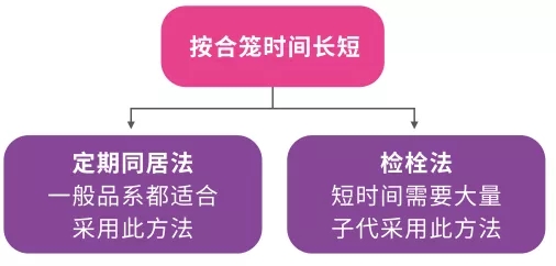 合笼时间
