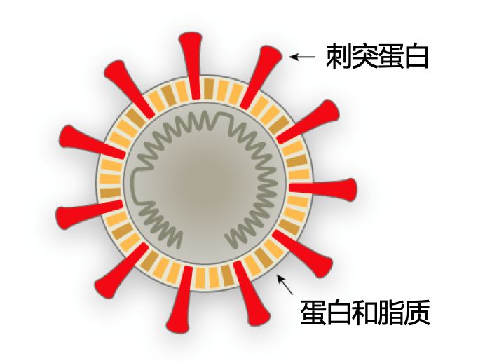 微信图片_20200312142233.jpg