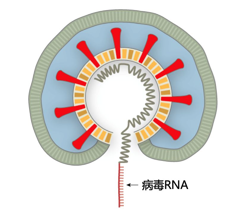 微信图片_20200312142247.jpg