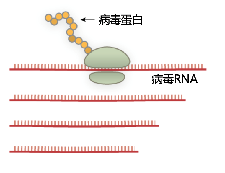 微信图片_20200312142255.png