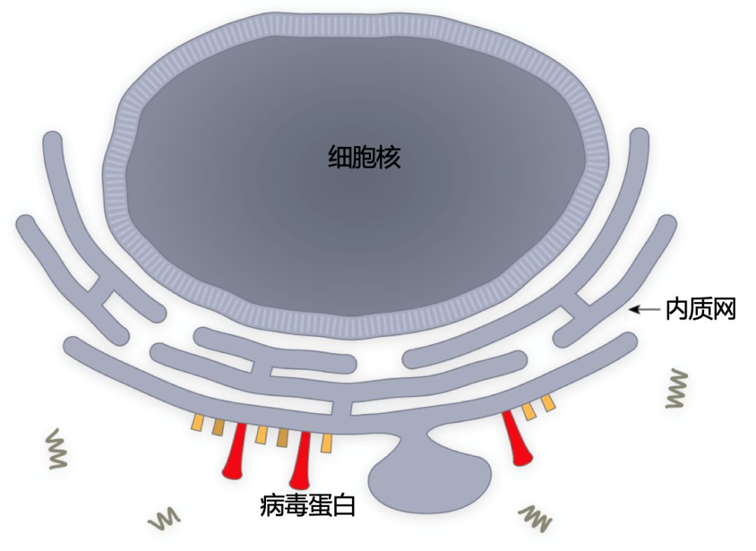 微信图片_20200312142303.jpg