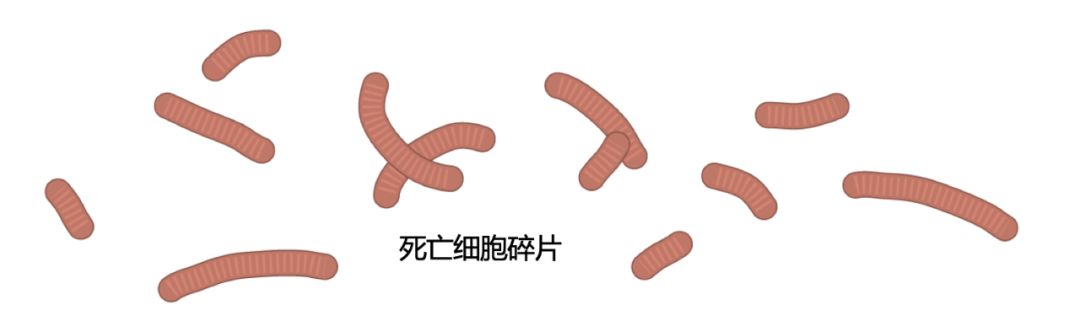 微信图片_20200312142340.jpg
