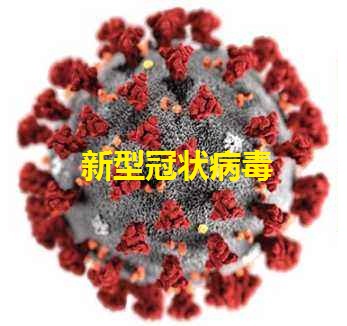 微信图片_20200323102941.jpg