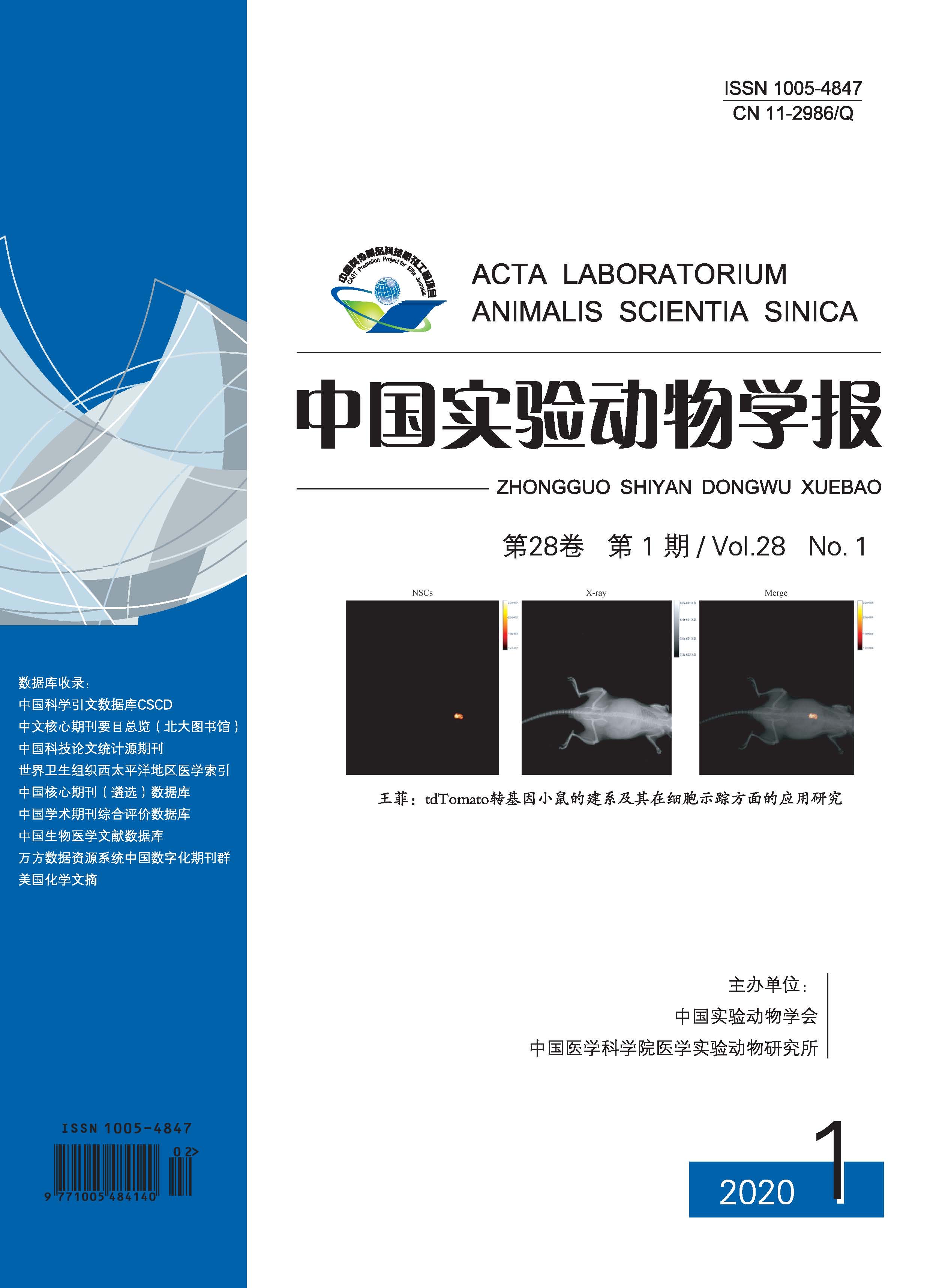 页面提取自－中国实验动物学报202001.jpg