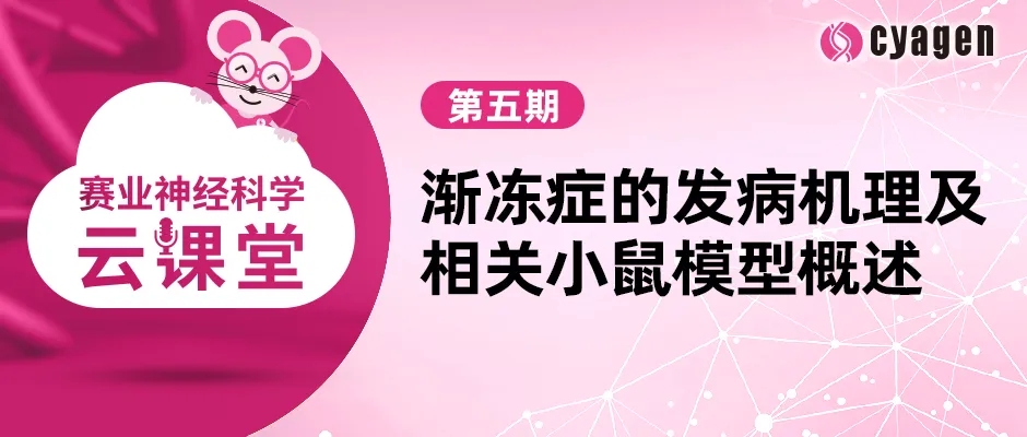 赛业神经科学云课堂第五期：渐冻症的发病机理及相关小鼠模型概述