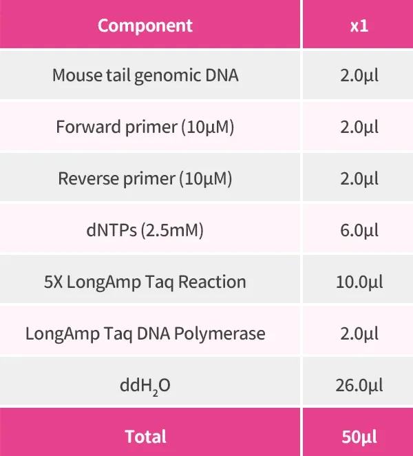 LongAmp聚合酶的体系