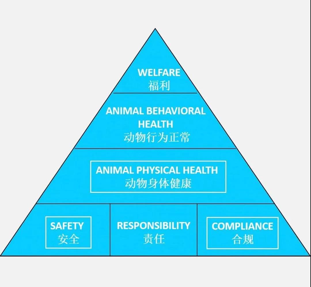 微信图片_20200506161947.jpg