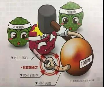 微信图片_20200518114142.jpg