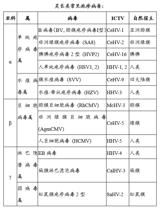 微信图片_20200525120118.png