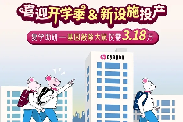 基因敲除大鼠