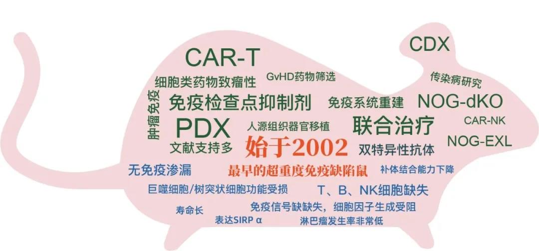 微信图片_20200617100409.jpg