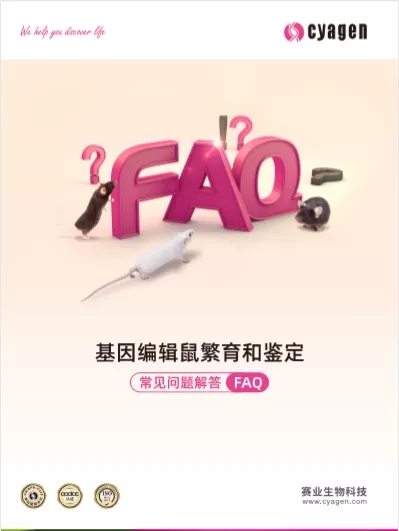 基因编辑鼠繁育和鉴定