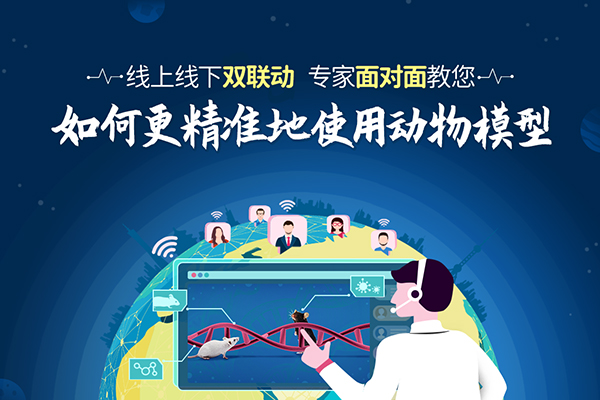 如何更精准的使用动物模型