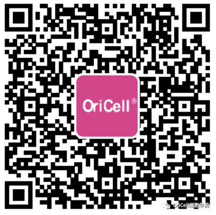 OriCell特级胎牛血清-二维码
