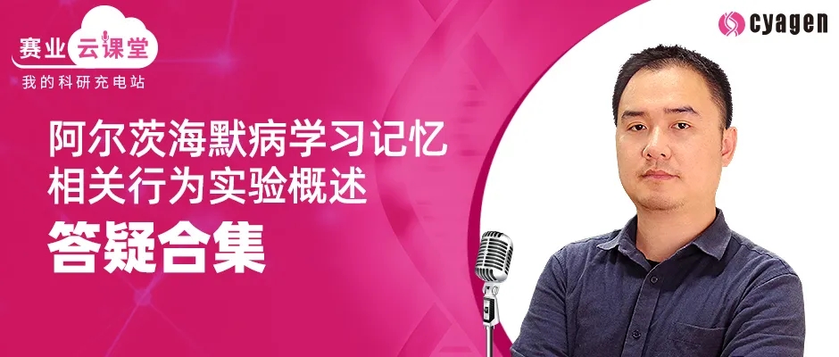 阿尔茨海默病学习记忆相关行为实验概述-答疑合集