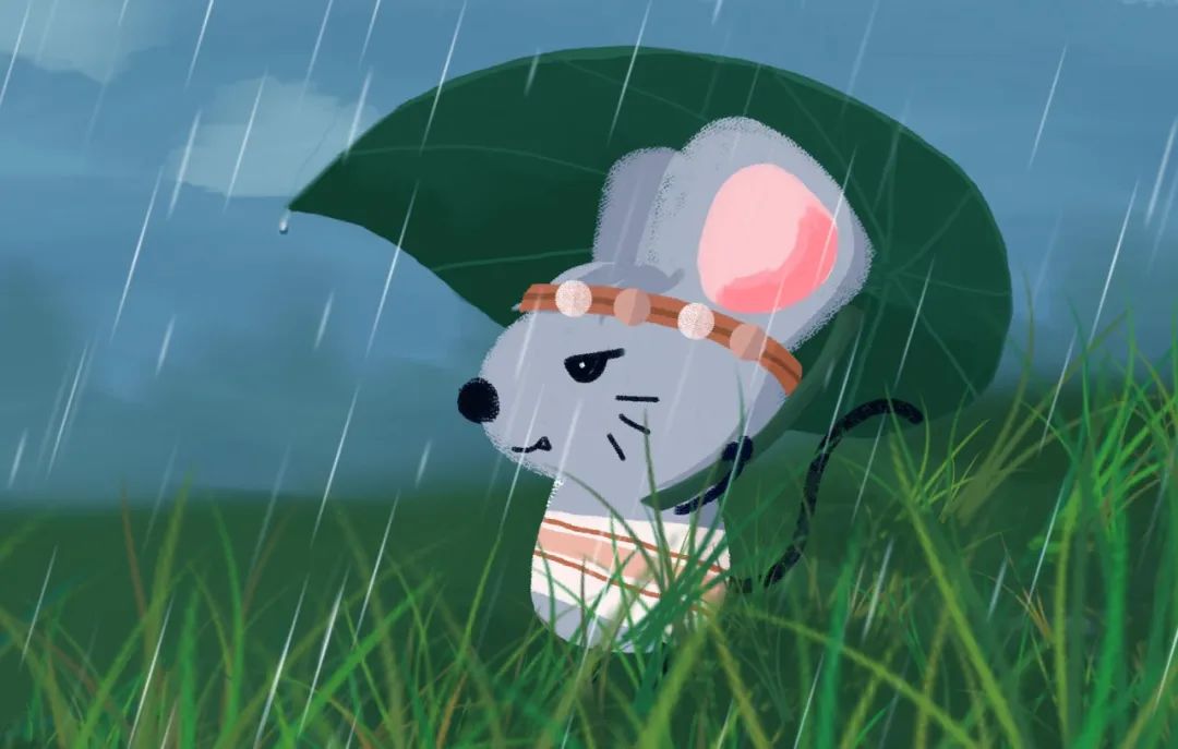 小鼠1.jpg