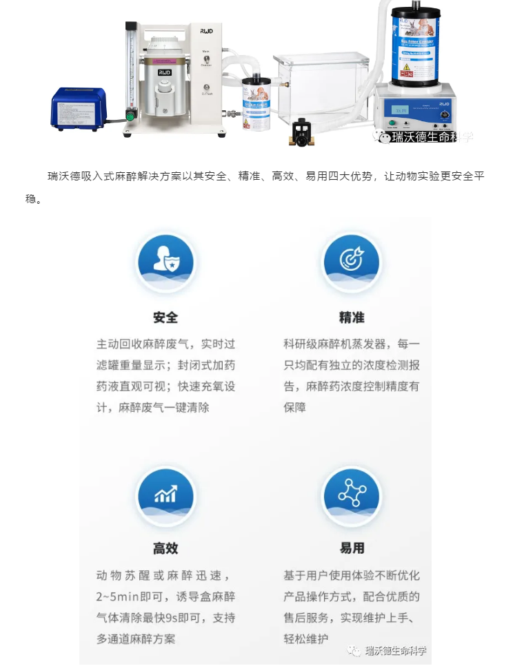 异氟烷麻醉图片