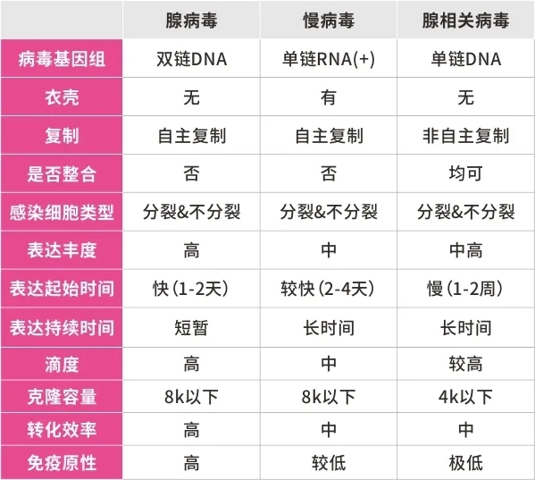 图1webp3.jpg