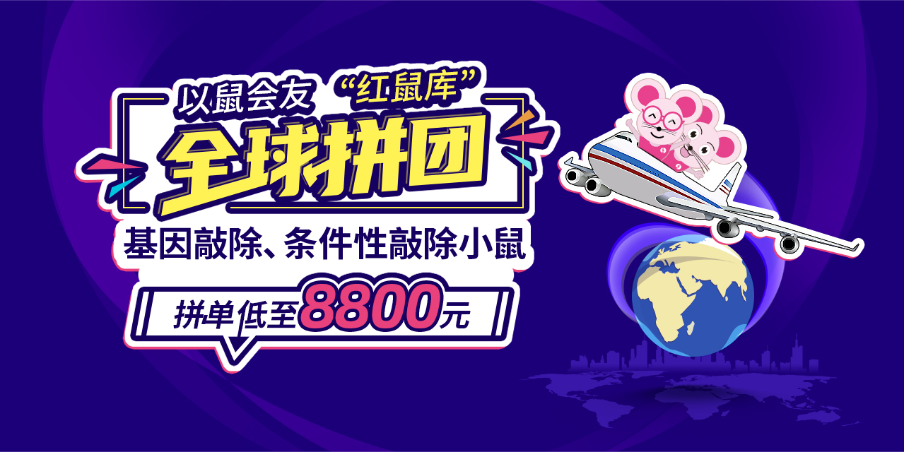 基因敲除、条件性敲除小鼠，拼单低至8800元！
