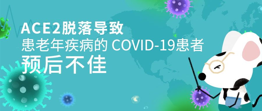 封面4.jpg