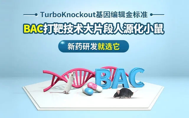 封面webp.jpg