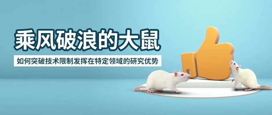 封面webp5.jpg